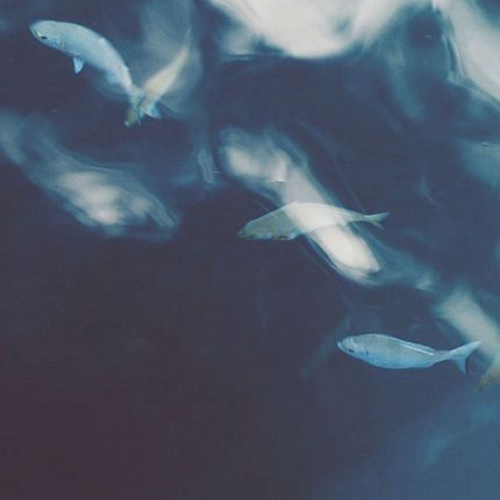 Labai greitai suvokiu naujus dalykus, bet galiu taip pat greitai juos pamiršti. Lengvai susidomiu naujomis idėjomis. Dažnai turi daug minčių vienu metu, todėl galiu peršokti nuo vienos idėjos prie kitos.